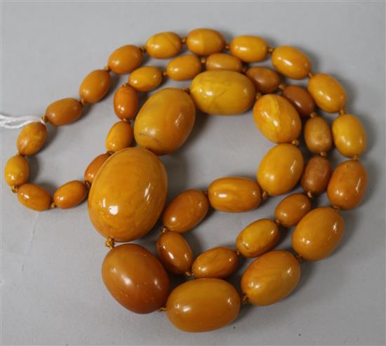 A single strand graduated oval amber bead necklace, gross weight 88 grams, 74cm.